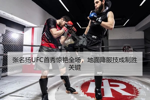 张名扬UFC首秀惊艳全场，地面降服技成制胜关键