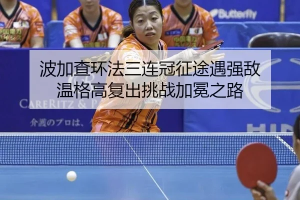 bo-jia-cha-huan-fa-san-lian-guan-zheng-tu-yu-qiang-di-wen-ge-gao-fu-chu-tiao-zhan-jia-mian-zhi-lu-2-781.jpg