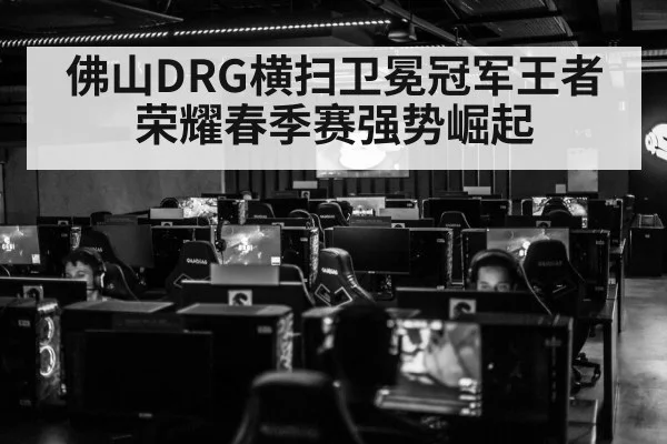 佛山DRG横扫卫冕冠军王者荣耀春季赛强势崛起