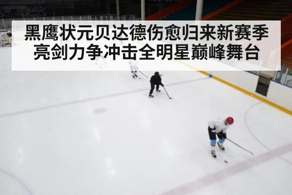 黑鹰状元贝达德伤愈归来新赛季亮剑力争冲击全明星巅峰舞台